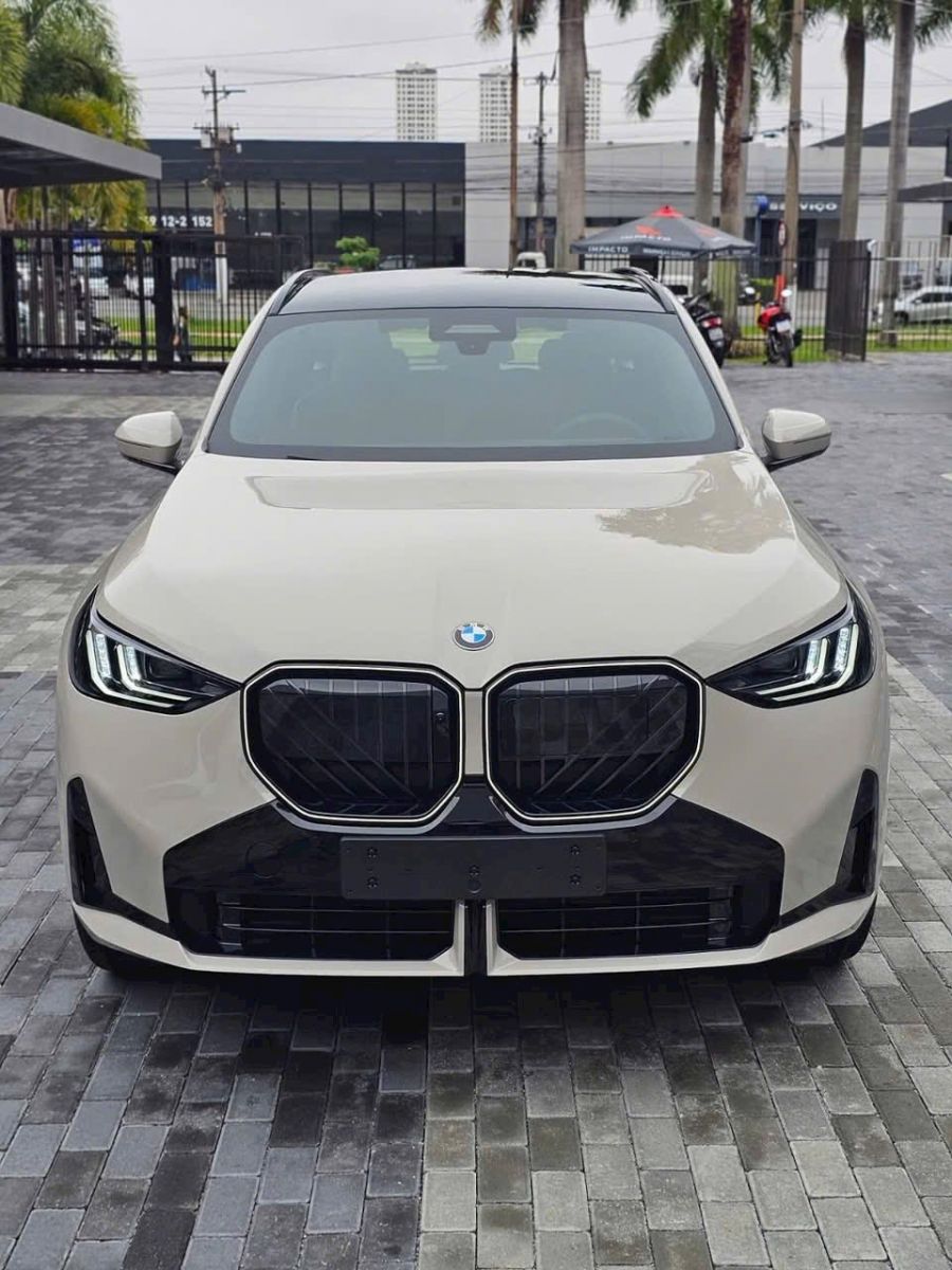 Lưới tản nhiệt đặc trưng BMW